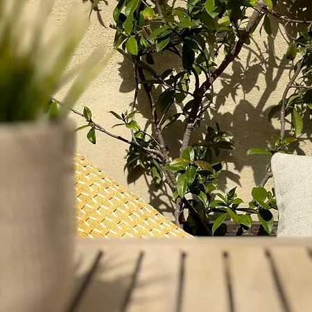 Modernist Gem Penthouse Apartamento Barcelona