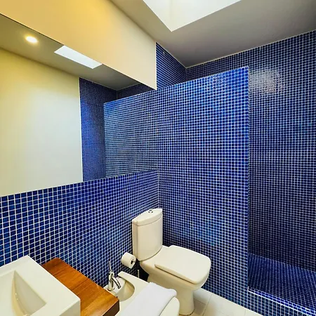 Modernist Gem Penthouse
